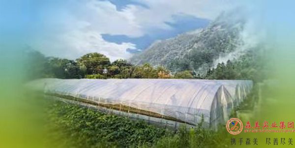 6178c48c0c062.jpg 森美农业.jpg