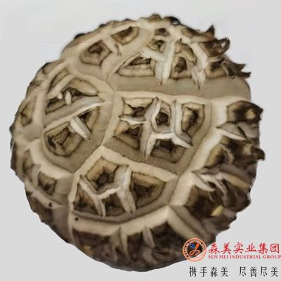 61b44b474604e.jpg 香菇3.jpg