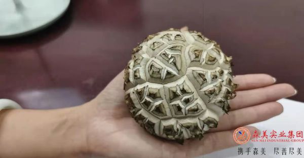 61b44b729636c.jpg 香菇2.jpg