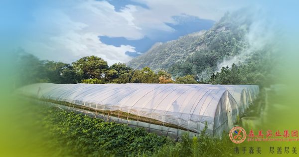 61b44bcd55cea.jpg 农业板块.jpg